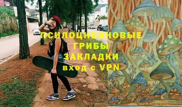 крисы Горно-Алтайск