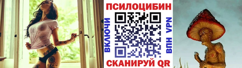 Галлюциногенные грибы Psilocybe  Купить где  Балабаново 